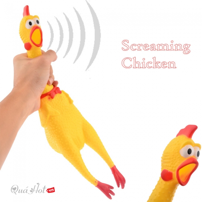 Gà Bóp Kêu Shrilling Chicken