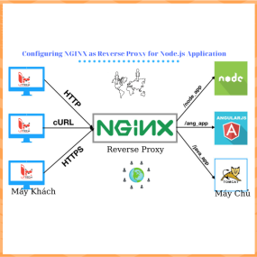 Sử Dụng Một Nginx Cho Các Tên Miền OSPanel 6.3.5