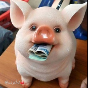 Heo Đất Bằng Sứ Cao Cấp