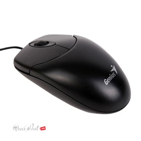 Mouse Genius XScroll USB CH Silicon