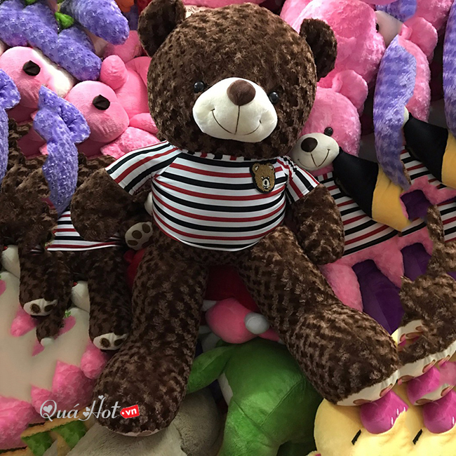 Gấu Teddy Áo Sọc Ngang Cao 1m2