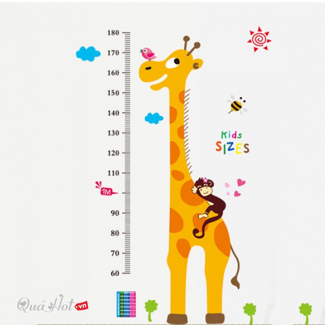 Hưu Cao Cổ Kids Sizes